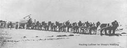 Hauling Lumber for Sharp's Heading