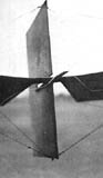 close-up view
