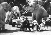Little People entertaining elephants
