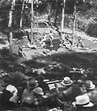 Zoro Gardens